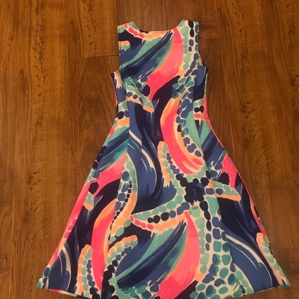 Lilly Pulitzer dress - Picture 2 of 8